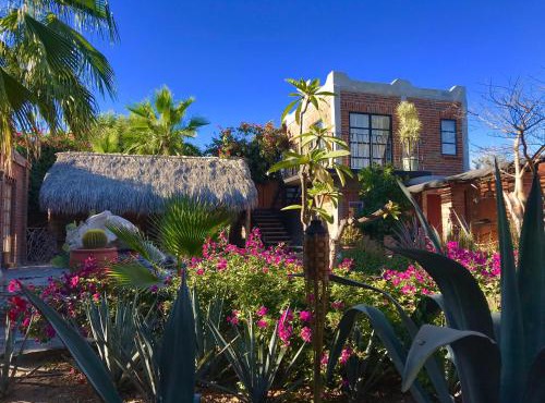 Casa Xochitl in La Paz