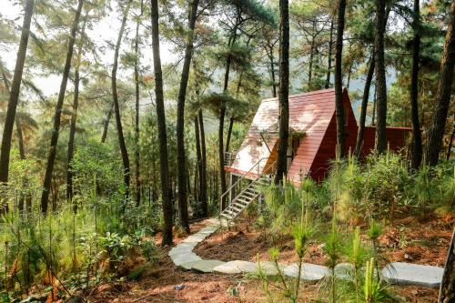 Cat Ba Eco Lodge