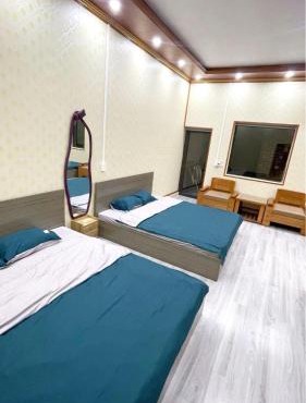 cat homestay