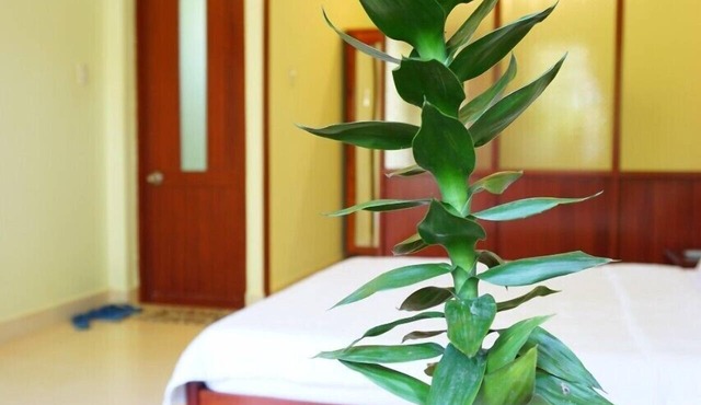 Cat Tien Guesthouse