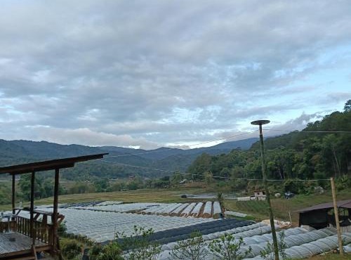 Chanya homestay