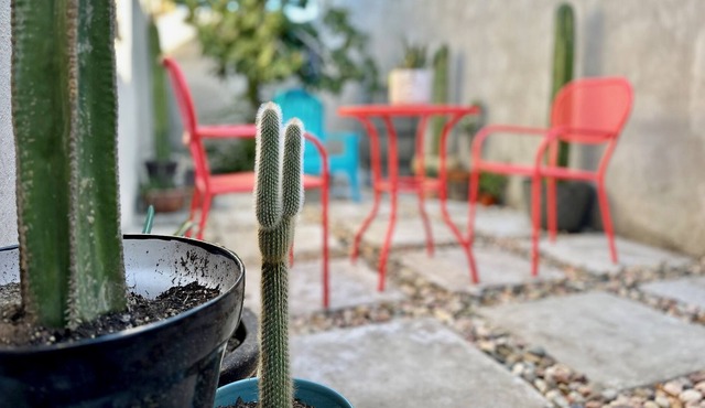 Charming 3BR Oasis, 5 min fr USA - AC in every RM