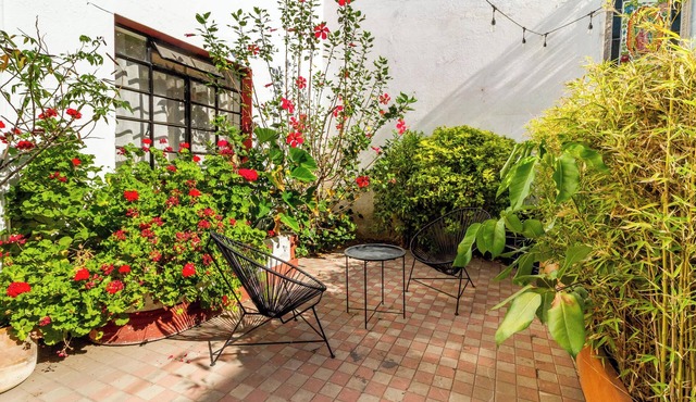Charming Apartment in Colonia Americana with 1 Bedroom
