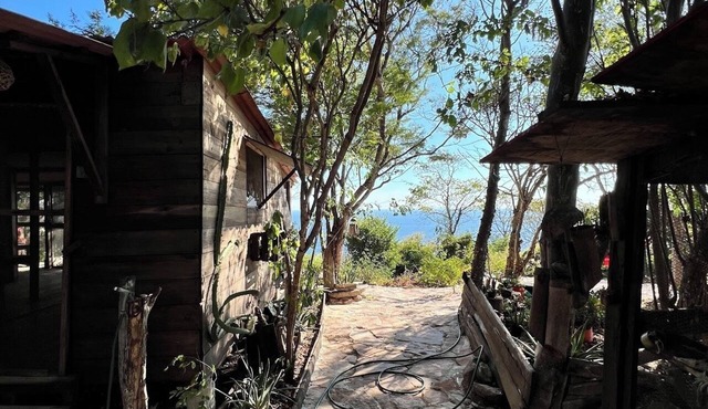 Charming ocean-view cabin