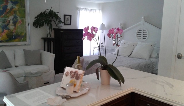 Charming Private Garden Cottage hide away in the heart of Sarasota in Sarasota