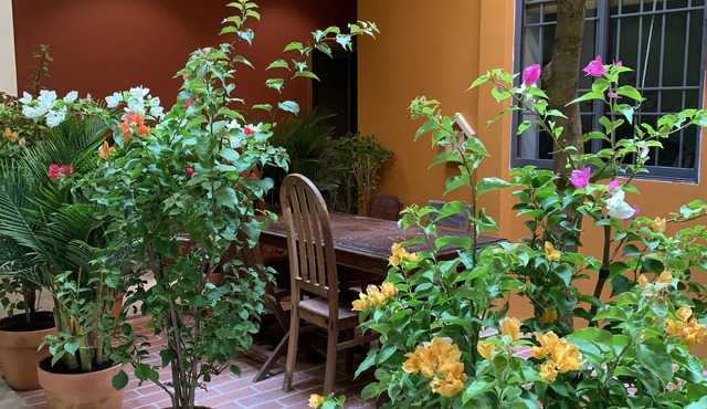 Chi Hieu Homestay