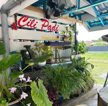 CILI PADI GUESTHOUSE