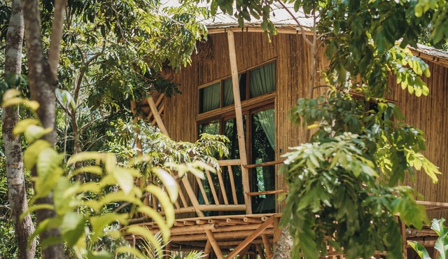 Come and live an experience inside the Mayan Jungle and its 7 Colors Lagoon.