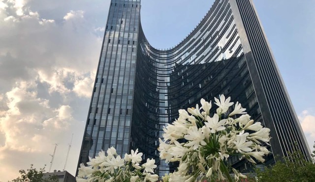 Corazon De Reforma