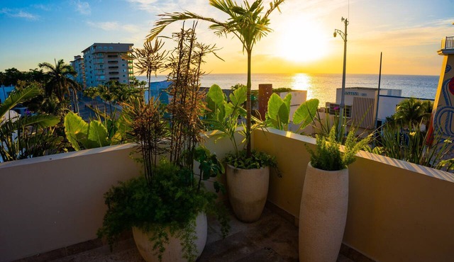 Cozumel NEW Siesta Studio: 1BR/Wi-Fi/AC/Noise Proof/With View