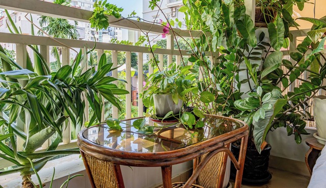 Cozy 1990s Khmer Style Flat in Heart of Tonle Bassac
