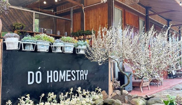 Dó homestay