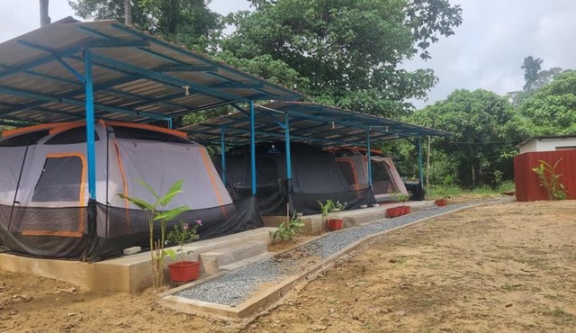 D'Tahan Campsite Taman Negara