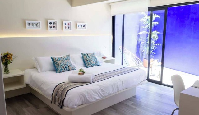 Dazzling house in Coyoacan