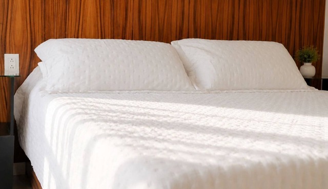 Deluxe Suite King size bed, kitchen and internet. Near event gardens 10 in Cuernavaca