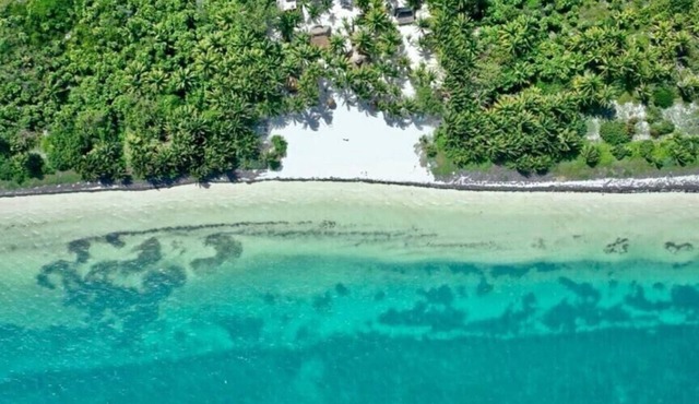 Dharma Eco-Resort