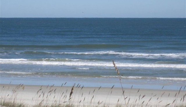 Direct Oceanfront & private, dog friendly, 2BR house, Oct/Nov/Dec availability. in St. Augustine