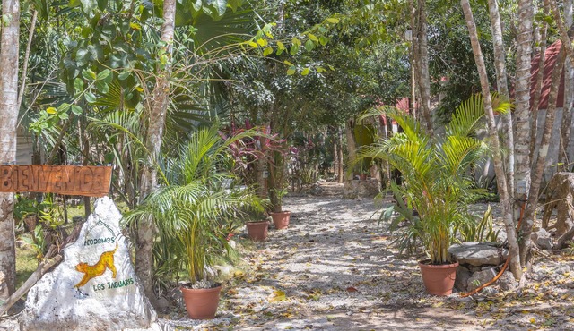 Eco-friendly dome amidst the beautiful jungle, with modern amenities and pool!