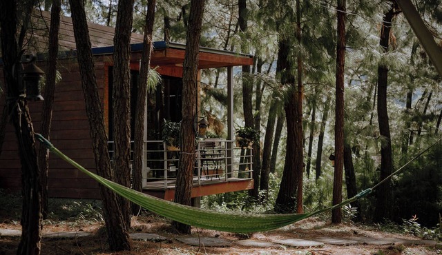 Ecolodge Cat Ba