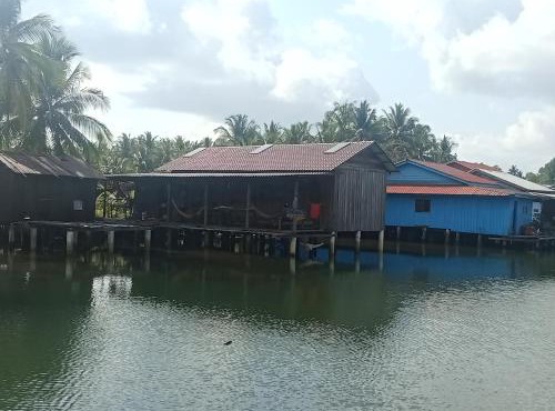 Friend of Nature Homestay
