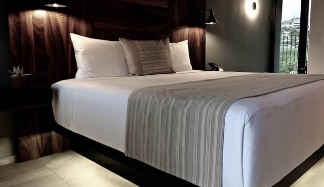 Gorgeous 1BR Exclusive Suite in Cabo
