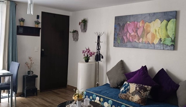 Gorgeous 2-bedroom apartment CDMX near Benito Juarez Airport.