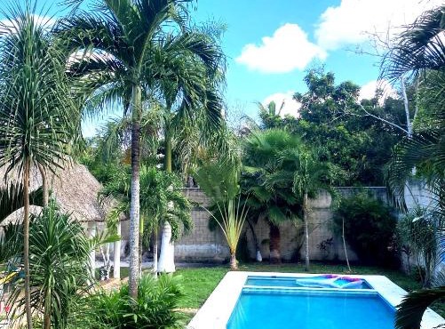 GREEN PARADISE LEONA VICARIO