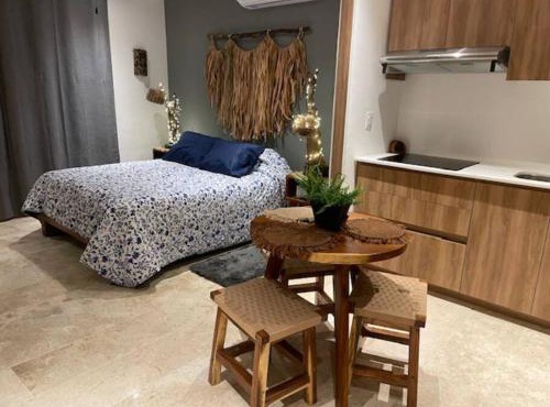 Handicap accessible studio Tulum in Tulum