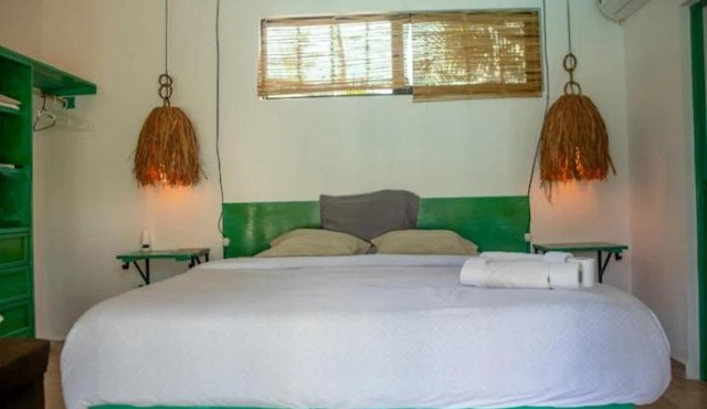 Harmony Castle stud in Tulum