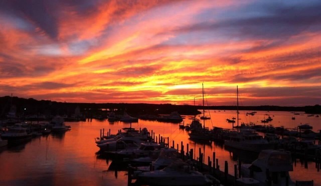 Heated Private Pool, Walk to Beach & Shops, fully renovated house in Osterville