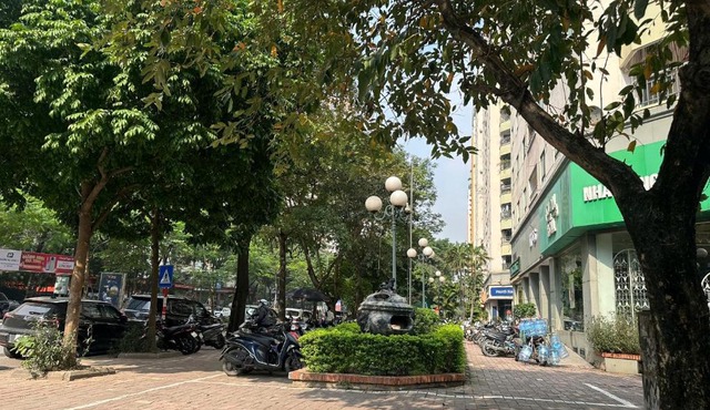 Hoa Bồ Công Anh 401TM3