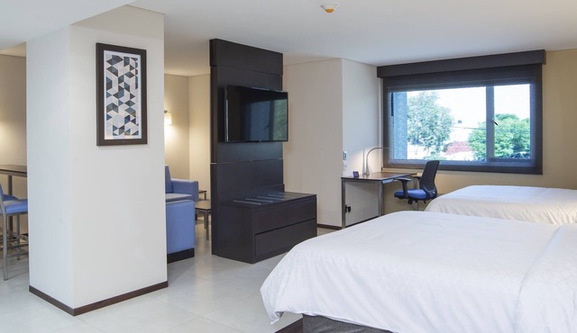 Holiday Inn Express Mexico Basilica by IHG