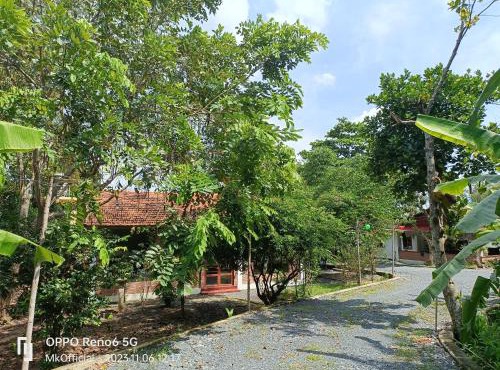Homestay Mẹ Khang 2,ngay Địa Đạo Củ Chi Bến Đình