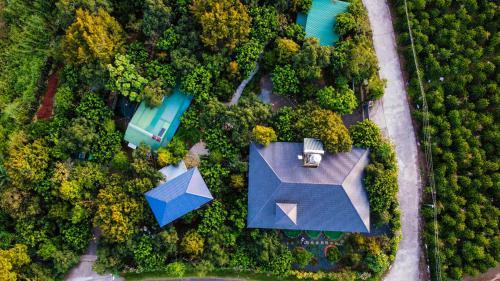 Homestay Vườn Trái Cây Nhiệt Đới VÔ ƯU GARDEN