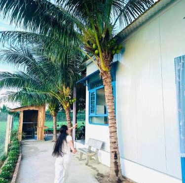 Homestay Về Nhà Chơi