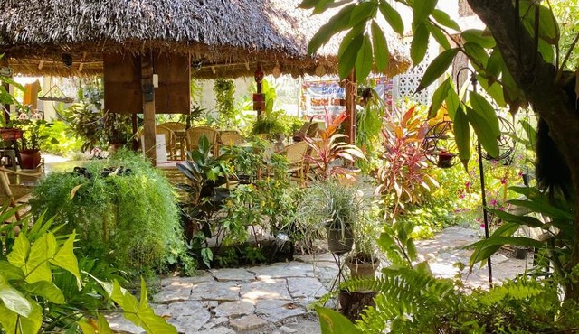 Hostal Casa Huasteca in Ciudad Valles