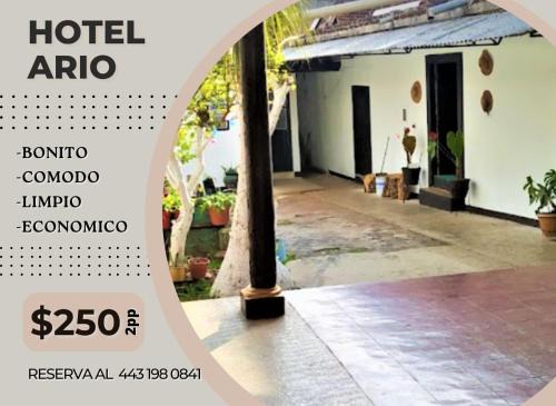 Hotel Ario