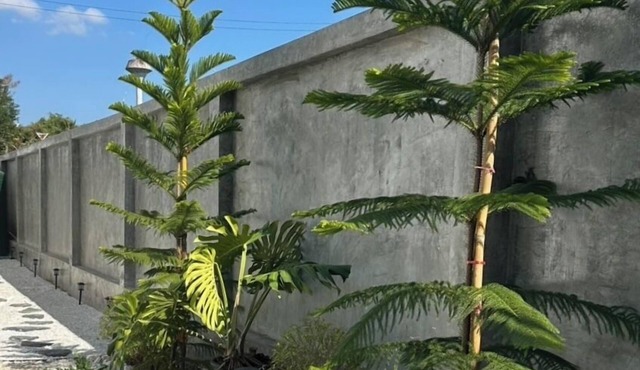 HOUSE NO.89