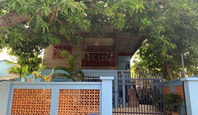 House the of Mango