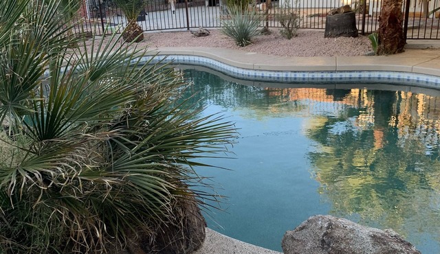 House with pool and large backyard in Apache Junction