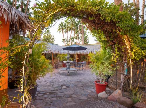 Iguana Inn in Loreto