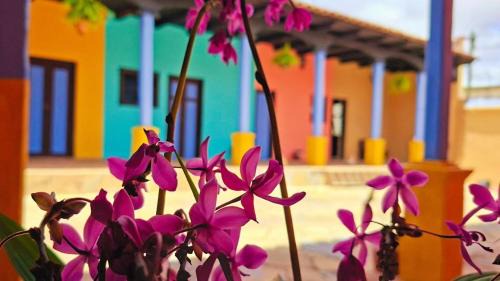 Jazmin Hotel Boutique Colonial in Comitán