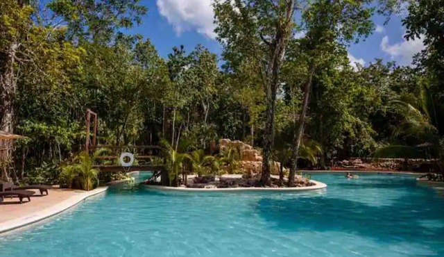 Jungle House next to Cenotes Puerto Morelos!