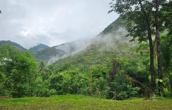 Jungle Private Camp in Tha Kradan