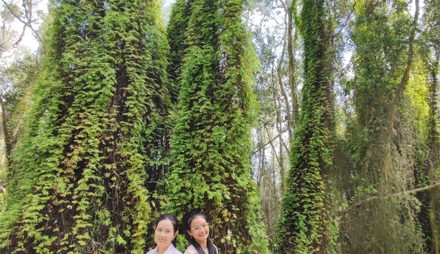 Lang Noi Tan Lap Hotel