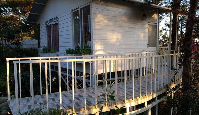 Lovely Treehouse with 2 queen beds, restroom, small kitchen, balcony forest view