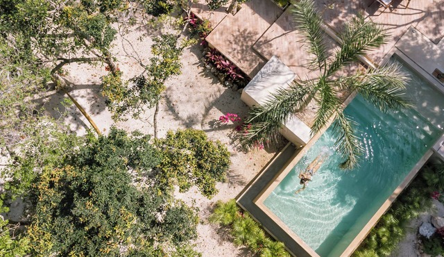 Lush Jungle Design Villa: Secluded Paradise with Infinity Pool