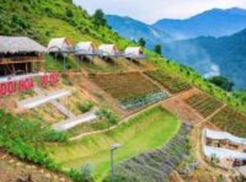 Mây Homestay - Venuestay