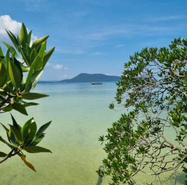 Mangrove Beach Bungalows