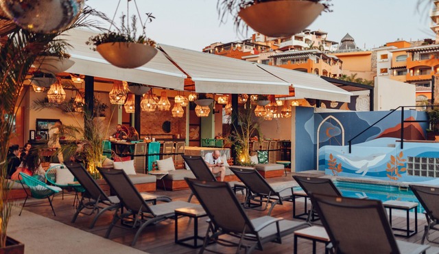 Mayan Monkey Los Cabos | Social Hotel